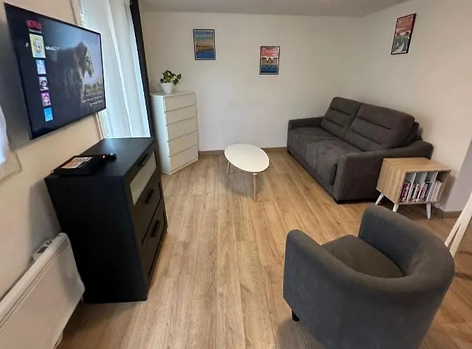 Nid Douillet Avec Terrasse Appartement *