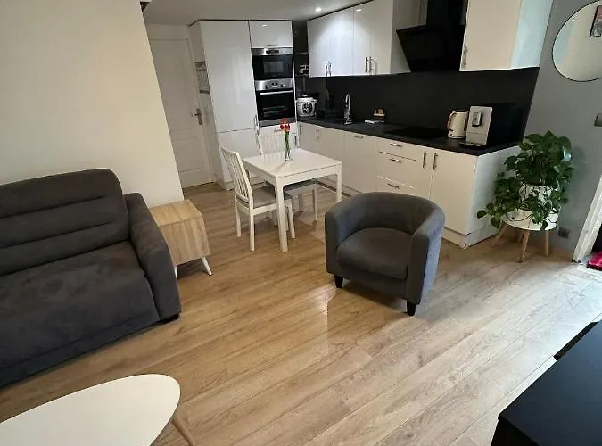 Nid Douillet Avec Terrasse Appartement *