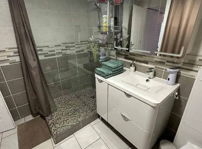 Nid Douillet Avec Terrasse Appartement Talence